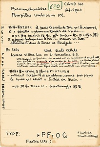 岩田久二雄フィールドノート