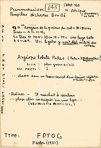 岩田久二雄フィールドノート