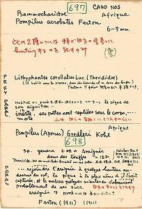 岩田久二雄フィールドノート