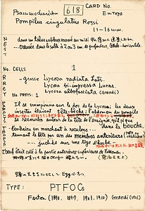 岩田久二雄フィールドノート