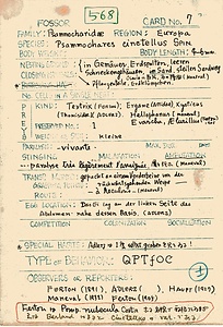 岩田久二雄フィールドノート