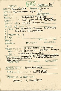 岩田久二雄フィールドノート