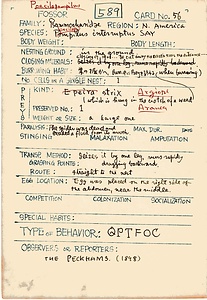 岩田久二雄フィールドノート