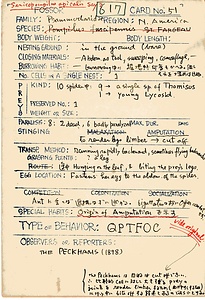 岩田久二雄フィールドノート