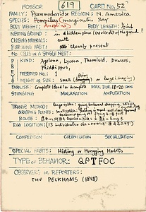 岩田久二雄フィールドノート