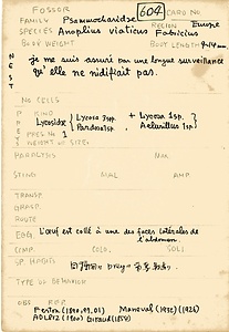 岩田久二雄フィールドノート