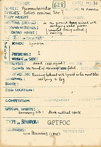 岩田久二雄フィールドノート