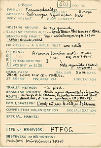 岩田久二雄フィールドノート