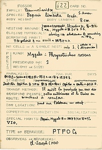 岩田久二雄フィールドノート