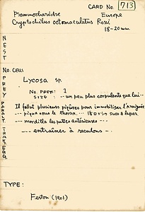 岩田久二雄フィールドノート