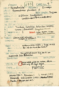 岩田久二雄フィールドノート