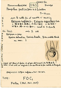 岩田久二雄フィールドノート