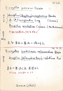 岩田久二雄フィールドノート