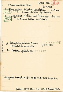 岩田久二雄フィールドノート