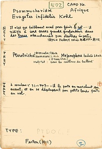 岩田久二雄フィールドノート