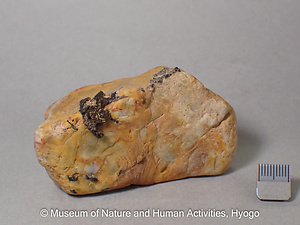 呉隕土(リシオフォル鉱)