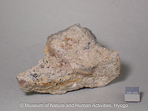 アルマンディン・黒雲母・水晶