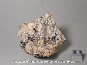 リン灰ウラン石