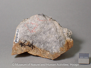 黄鉄鉱・紅柱石