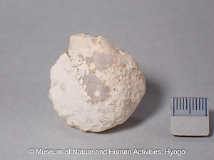 方解石、玉髄ノジュール