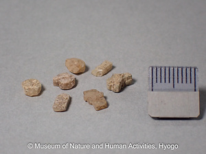 中性長石（アンデシン）