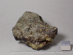 緑簾石（磁鉄鉱・グリュネル閃石）