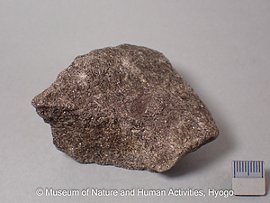 ダンネモラ閃石