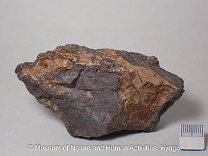 アレガニー石・園石