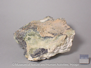 ぶどう石　蛇紋岩