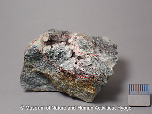 ブルーサイト　マナセアイト