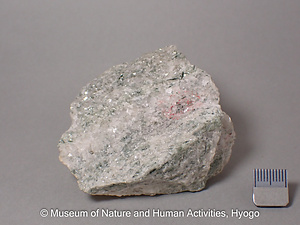 ポートランド石