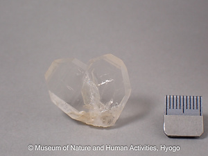 水晶の日本式双晶（石英）
