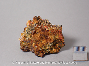 フオイト電気石