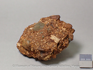 褐鉄鉱（鳴石，壺石）