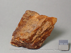 蛋白石（オパール，木蛋白石）