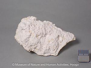 カオリン石（カオリナイト）