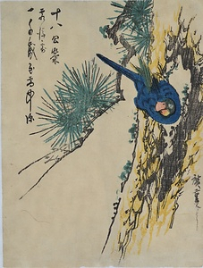 松に小鳥