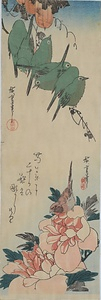 烏瓜に目白・芍薬に小鳥