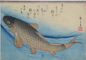 鯉