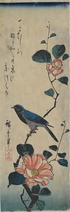 紅椿に小鳥