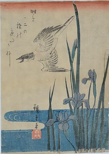 燕子花にほととぎす