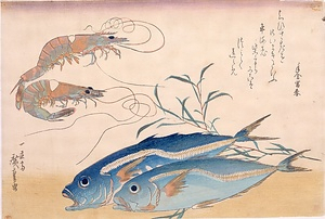 車蝦・鯵にたで