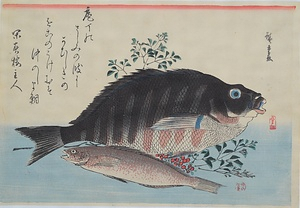 縞鯛・あいなめに南天