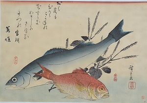 すずき・金目鯛にしそ