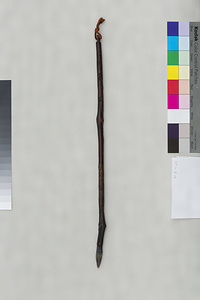 橋本関雪所用唐物槎管筆