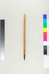 長尾雨山所用香雪軒製竹管筆