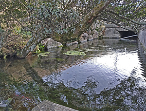 湧沢津水源
