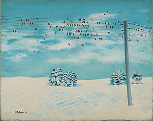 雪景と群がるスズメ