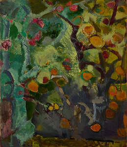 夏みかん（紀州）