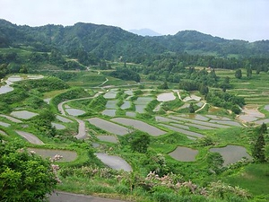 星峠の棚田